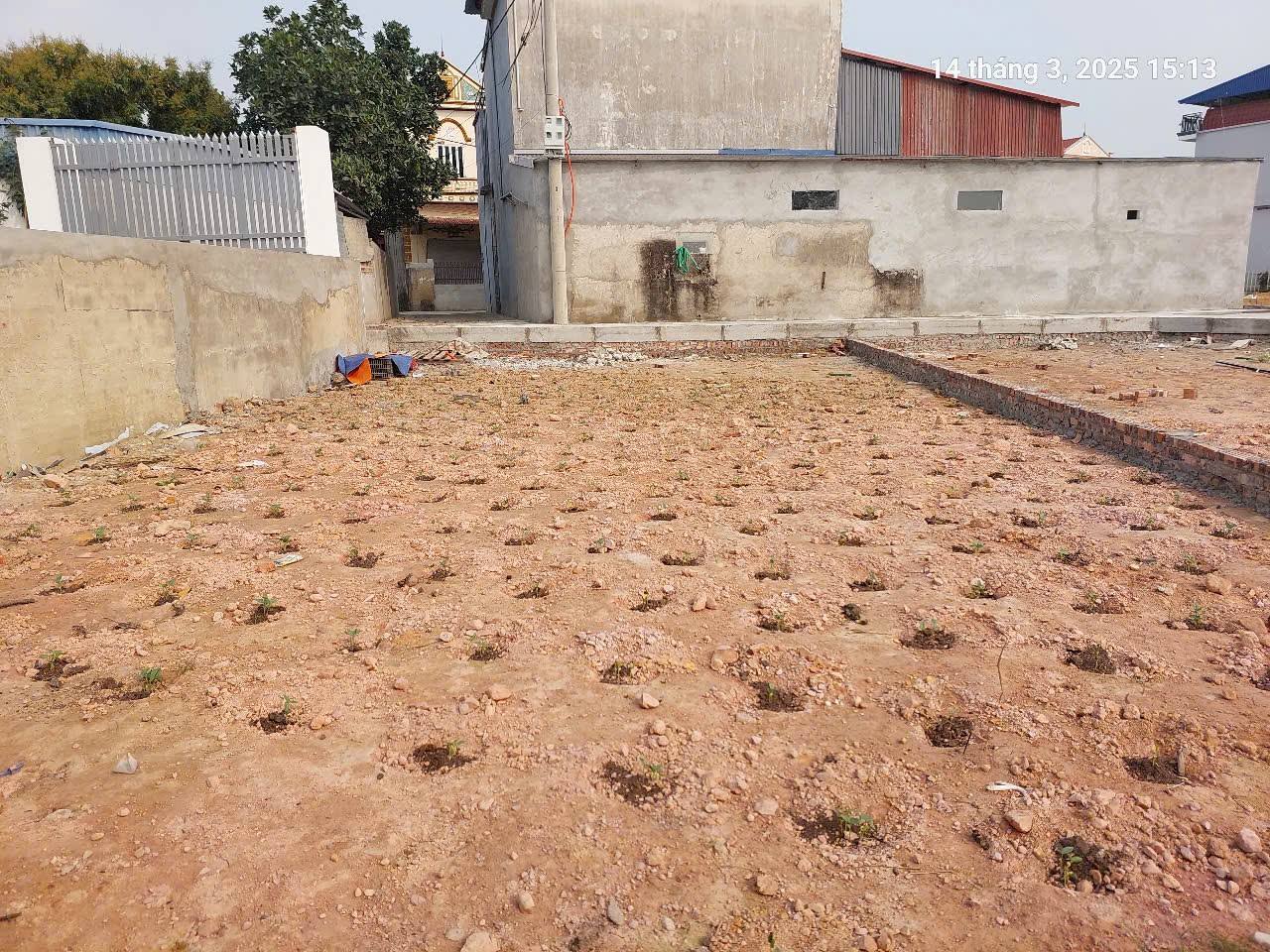 Đất Thanh Trí 100m2, mt6m, ô tô 7 chỗ, lô góc, 2.050 tỷ, Sóc Sơn. - Ảnh 4