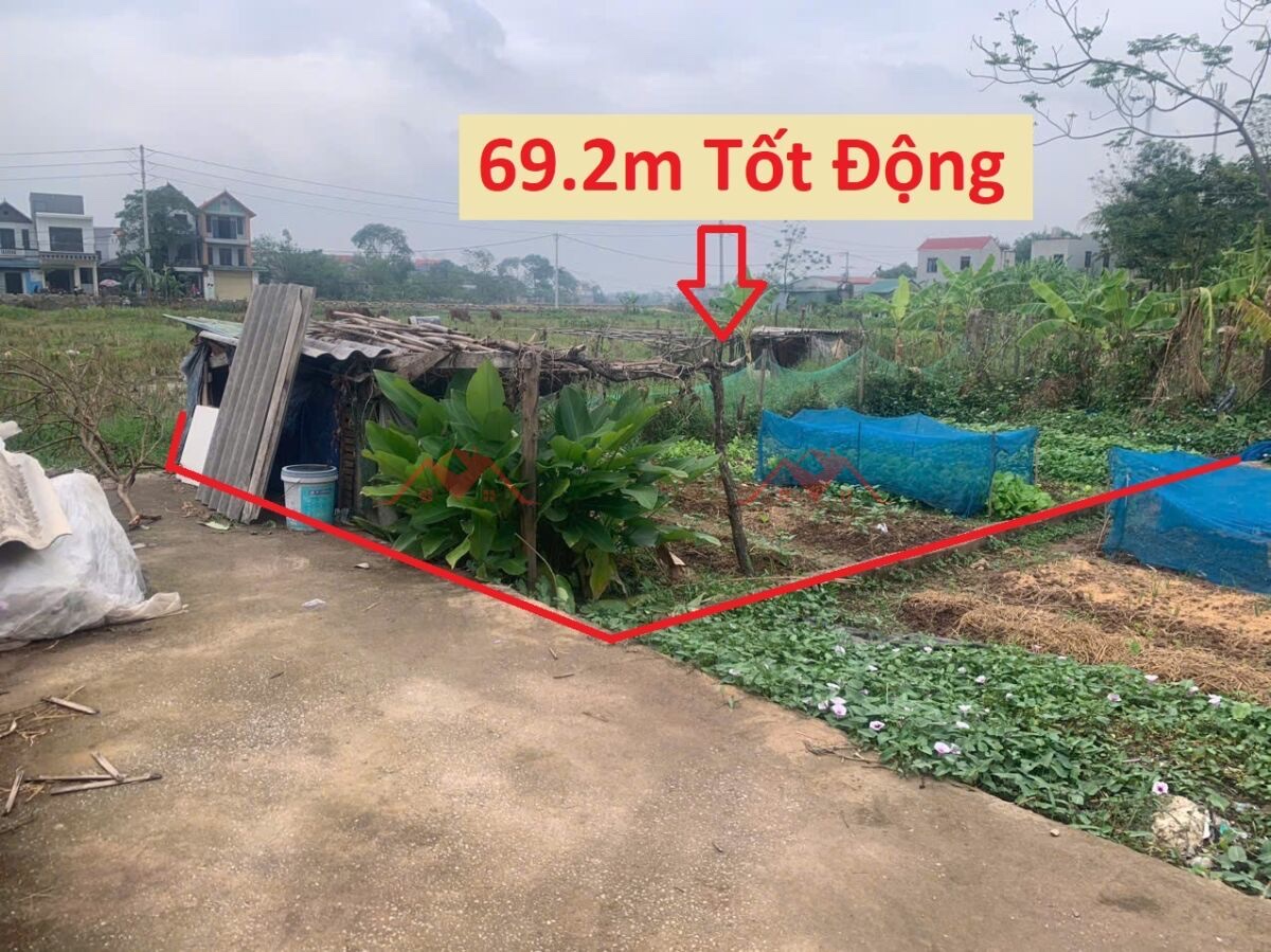 CHÍNH CHỦ BÁN LÔ ĐẤT 69,2M TẠI TỐT ĐỘNG-CHƯƠNG MỸ-HÀ NỘI - Ảnh chính