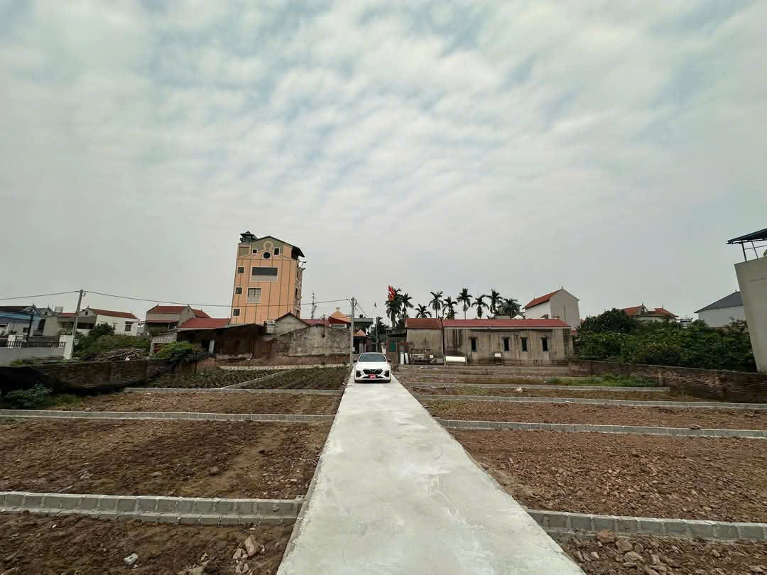 Bán đất Đan Kim - Liên Nghĩa - Văn Giang - Ảnh 1