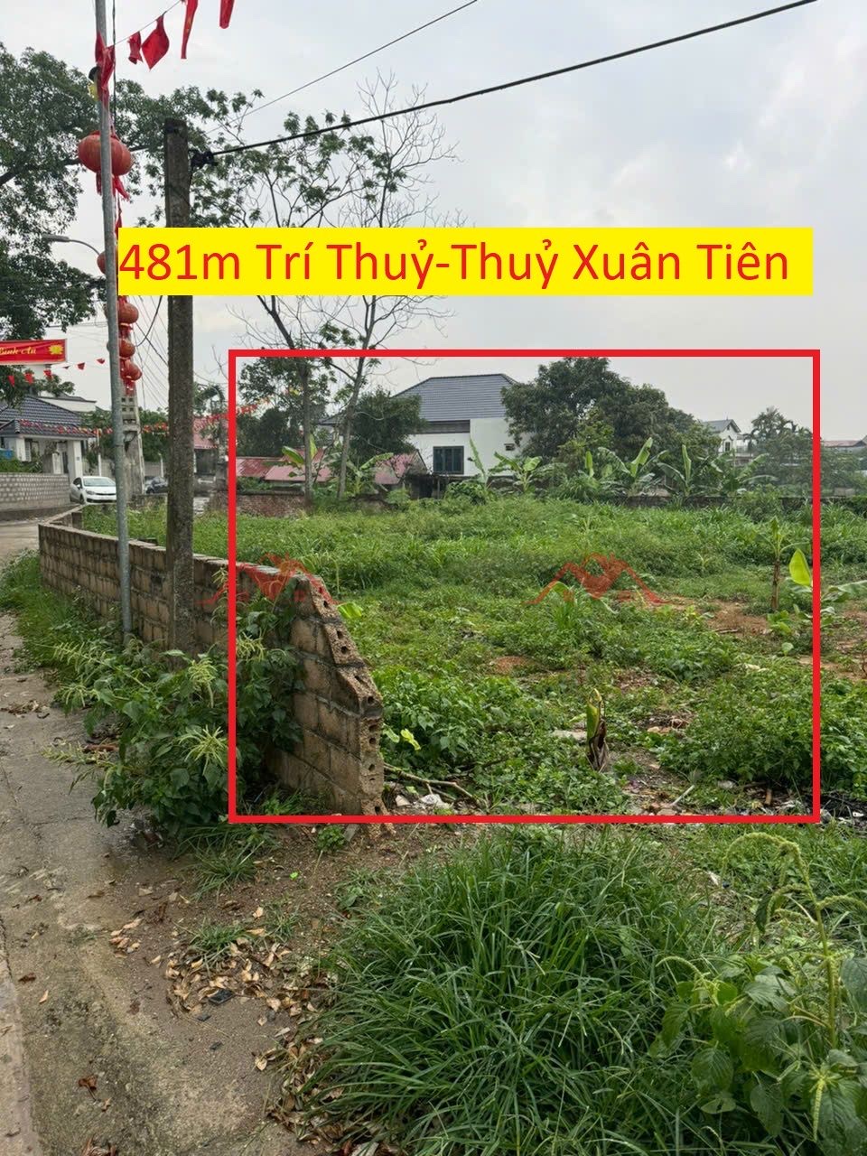 CHÍNH CHỦ BÁN LÔ ĐẤT 481M TẠI THỦY XUÂN TIÊN-CHƯƠNG MỸ-HÀ NỘI - Ảnh chính