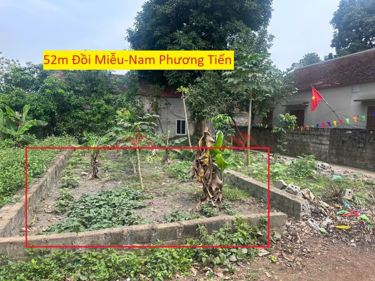 CHÍNH CHỦ BÁN LÔ ĐẤT 52M TẠI NAM PHƯƠNG TIẾN-CHƯƠNG MỸ-HÀ NỘI - Ảnh chính