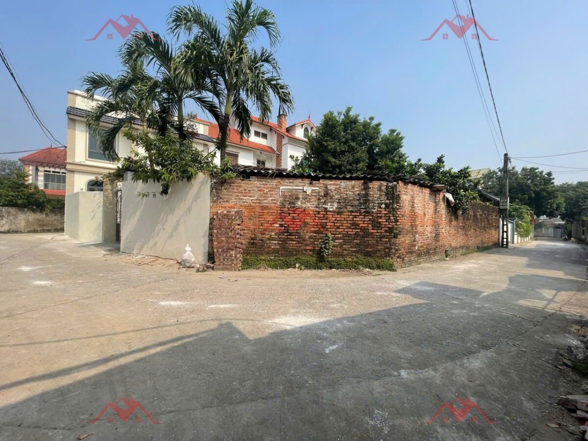 CHÍNH CHỦ BÁN LÔ ĐẤT 218M TẠI ĐÔNG SƠN-CHƯƠNG MỸ-HÀ NỘI - Ảnh 2