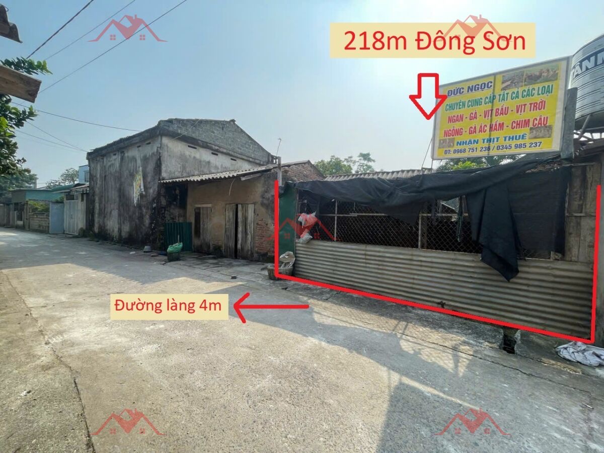CHÍNH CHỦ BÁN LÔ ĐẤT 218M TẠI ĐÔNG SƠN-CHƯƠNG MỸ-HÀ NỘI - Ảnh chính