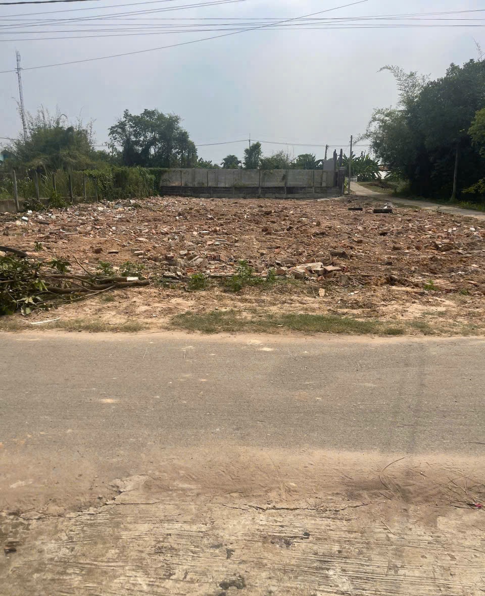 Đất 98m2 có 1,25 tỷ TL7 Trung Lập Hạ Củ Chi TP. Hồ Chí Minh - Ảnh 4