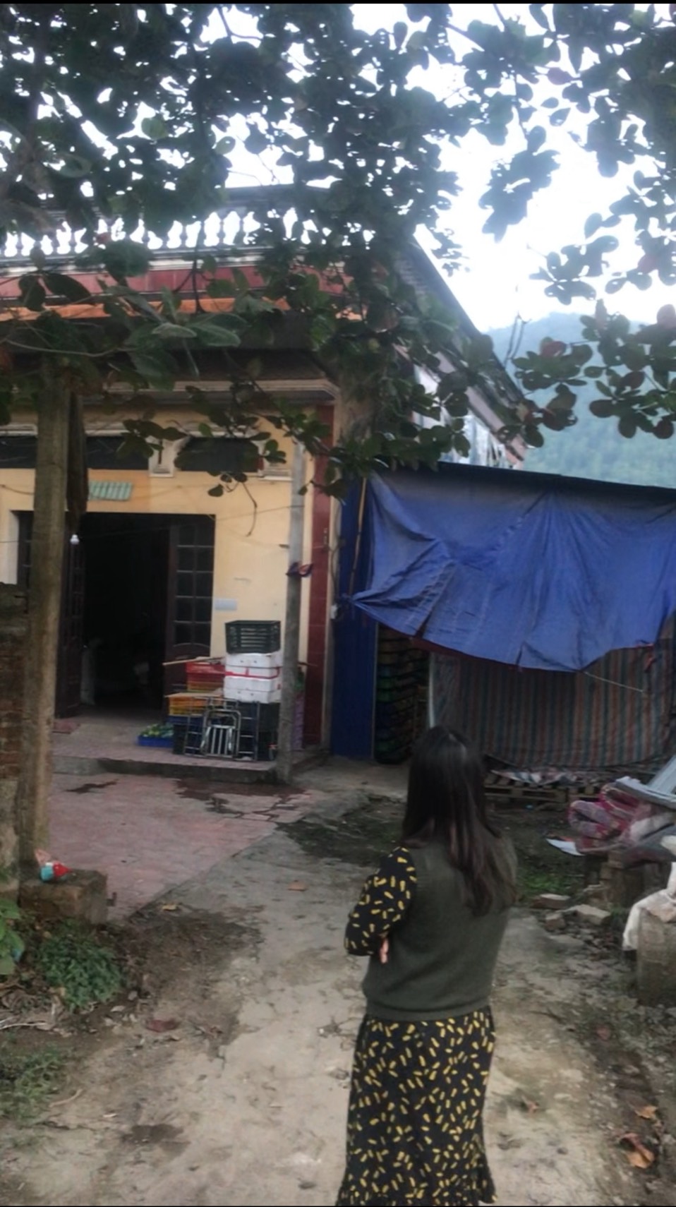BÁN NHANH ĐẤT MẶT ĐƯỜNG TỈNH LỘ 35, SÓC SƠN - Ảnh 1