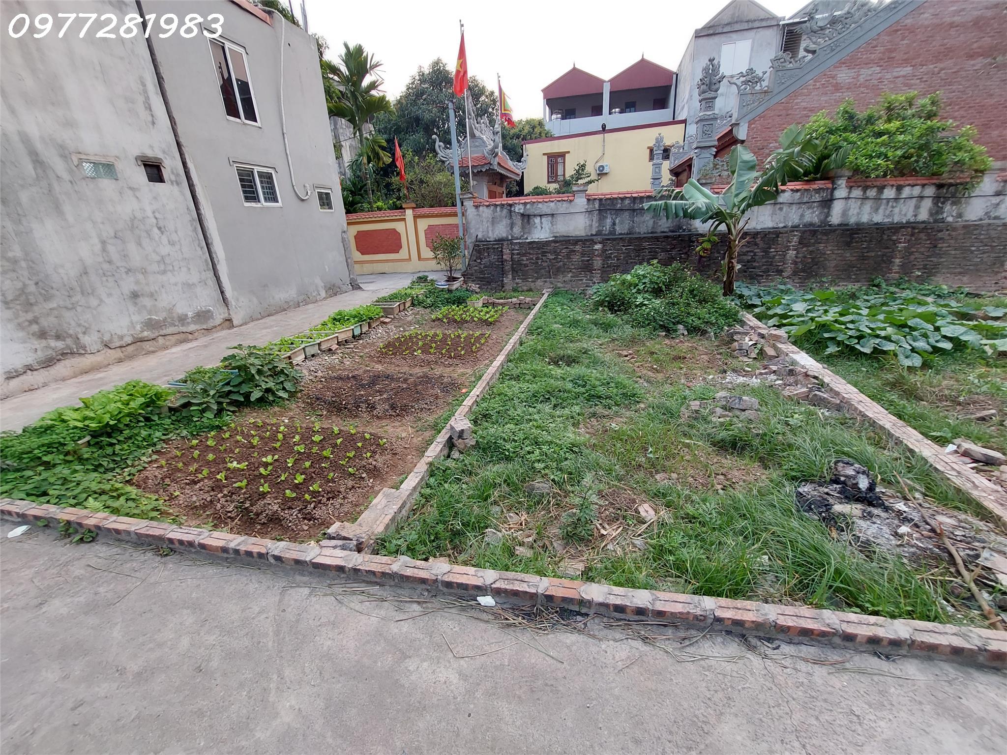 Bán gấp 55m đất Di Trạch, Hoài Đức, ô tô giá 5.05 tỷ - Ảnh 1