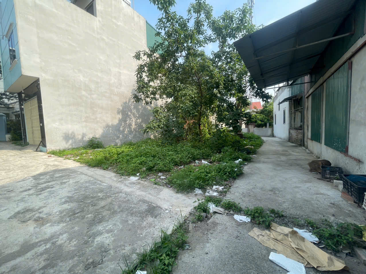 CC cần bán lô đất 103m lô góc tại phú nghĩa chương mỹ hà nội - Ảnh 2