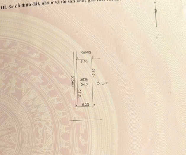 94m2 Ô GÓC ĐẤT TRỤC CHÍNH KINH DOANH ĐỨC THƯỢNG, HOÀI ĐỨC - Ảnh 4