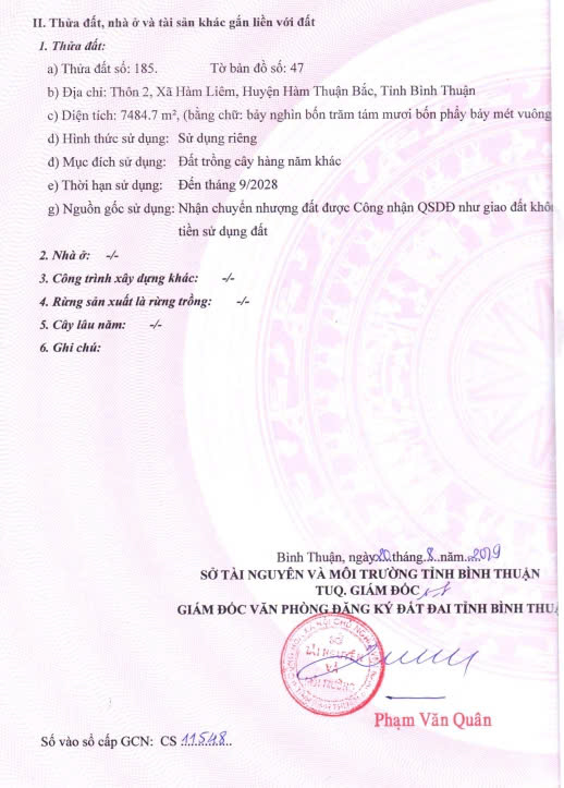 BÁN GẤP 1 MẪU ĐẤT TRỒNG CÂY LÂU NĂM ĐANG RA TRÁI – HÀM LIÊM, BÌNH THUẬN GIÁ CHỈ 2 TỶ 6 - Ảnh 1