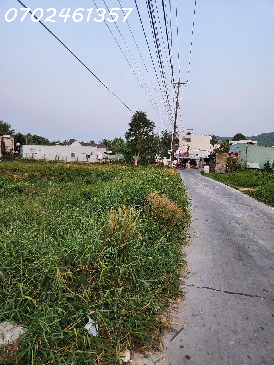 Bán Đất Mặt Tiền Chùa Ông, Suối Đá – 5400m² Thích Hợp Làm Farmstay, Nhà Vườn - Ảnh 1