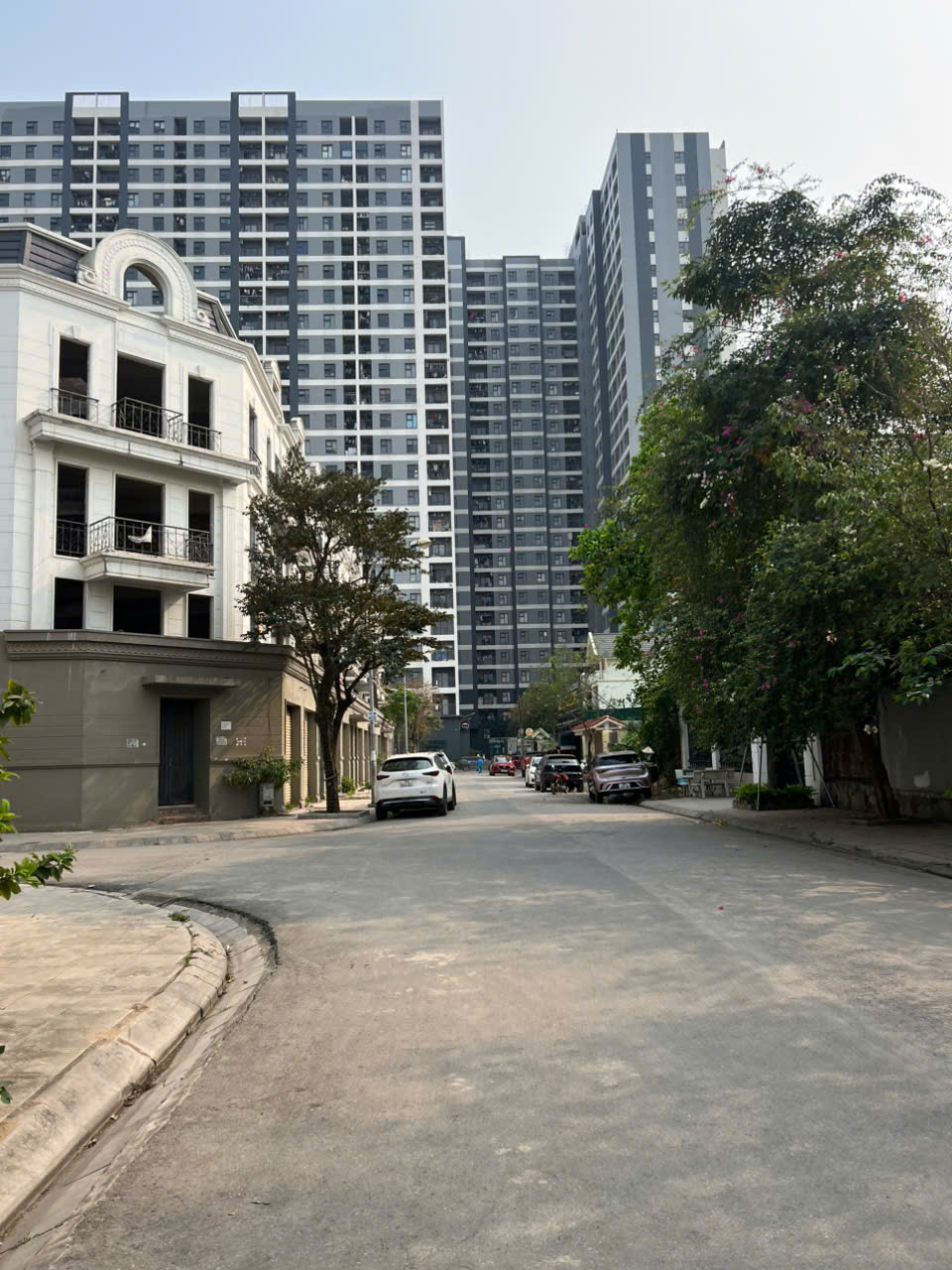 Bán đất 31HA Trâu Quỳ 248m2, MT 12m. Đường 15m. giá 165Tr/m2. Lh: 0985109357. 0565732666 - Ảnh chính