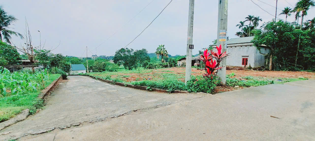 Bán lô đất tuyến 2 tỉnh lộ 414 Ba Trại Ba Vì_1784M_200M đất ở bám đường 2oto tránh_2,xtr/m - Ảnh 1