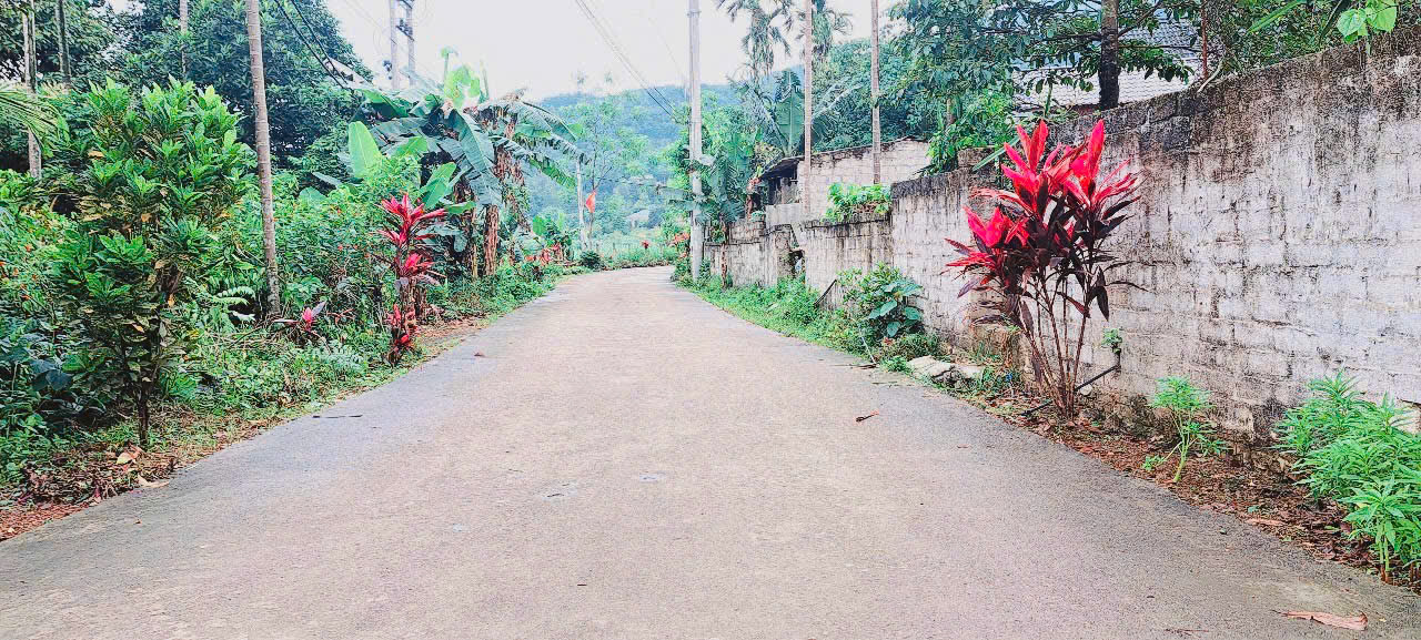 Bán lô đất tuyến 2 tỉnh lộ 414 Ba Trại Ba Vì_1784M_200M đất ở bám đường 2oto tránh_2,xtr/m - Ảnh chính