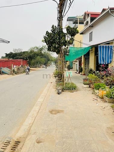 Tôi chính chủ  cần bán 02 thửa đất liền kề mặt đường Vân Canh, Hoài Đức: - Ảnh chính