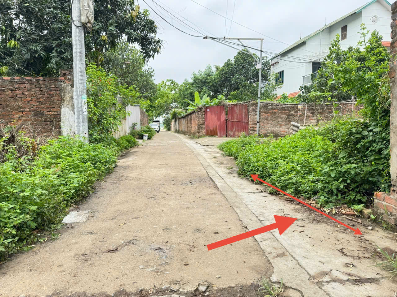 Bán 46m đất thôn Bảo Tháp, Kim Hoa, Mê Linh. Ba bước chân tới đường vành đai 4 - Ảnh 2