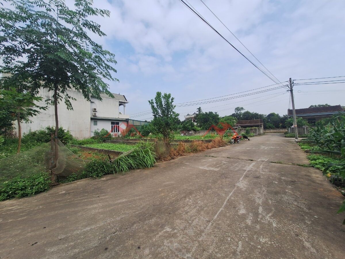 CHÍNH CHỦ BÁN LÔ ĐẤT 60M TẠI HOÀNG VĂN THỤ-CHƯƠNG MỸ-HÀ NỘI - Ảnh 1