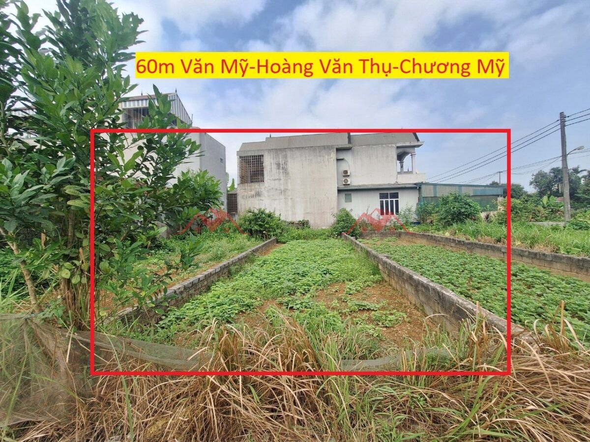 CHÍNH CHỦ BÁN LÔ ĐẤT 60M TẠI HOÀNG VĂN THỤ-CHƯƠNG MỸ-HÀ NỘI - Ảnh chính