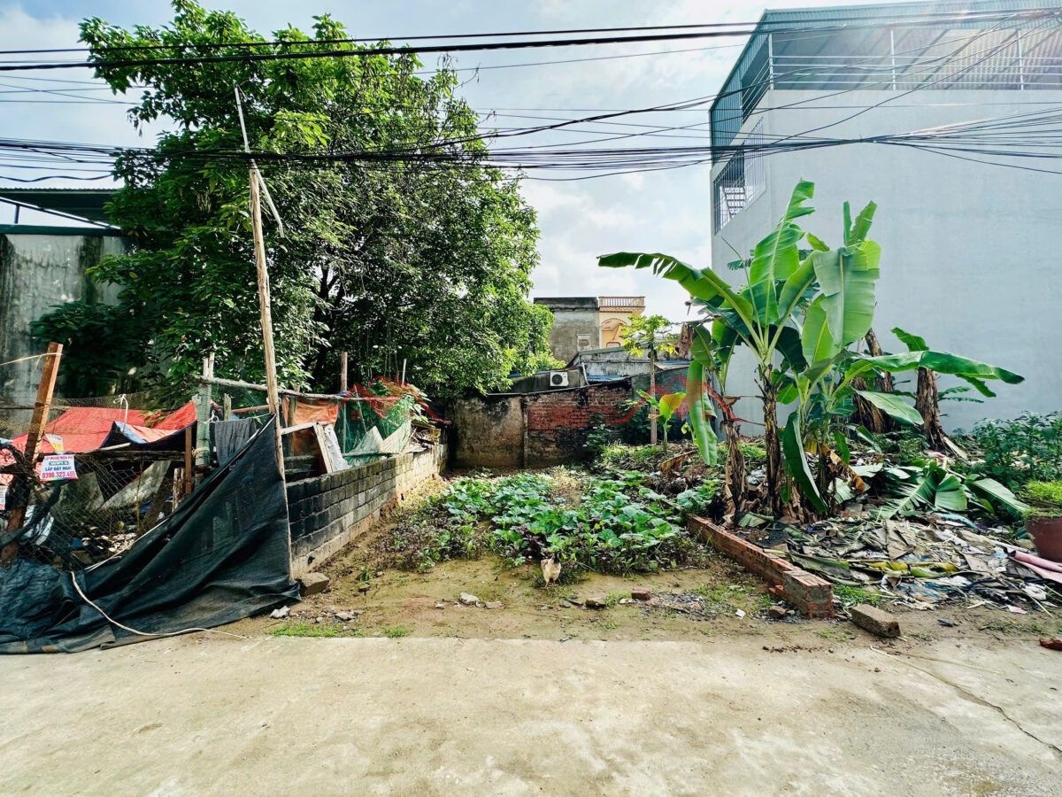 CHÍNH CHỦ BÁN LÔ ĐẤT 47M TẠI PHỤNG CHÂU-CHƯƠNG MỸ-HÀ NỘI - Ảnh 3