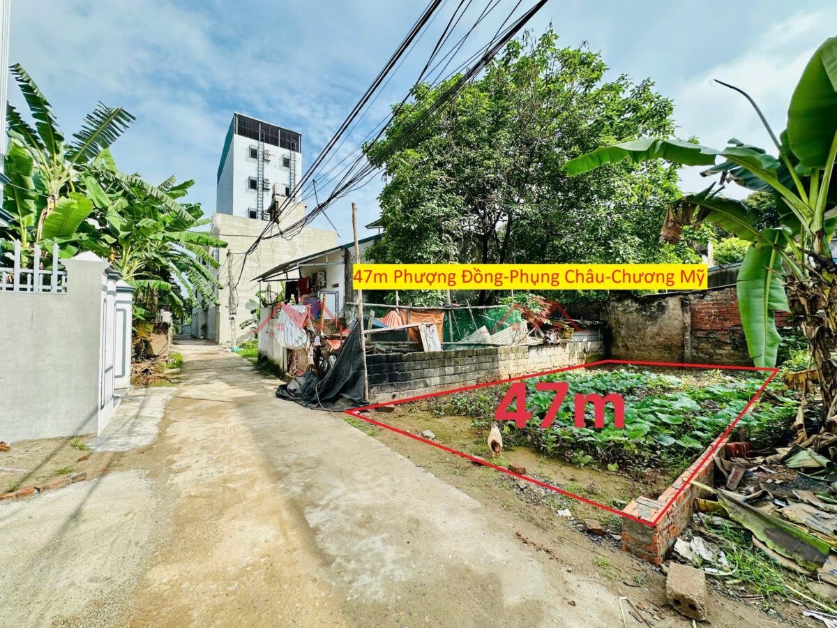 CHÍNH CHỦ BÁN LÔ ĐẤT 47M TẠI PHỤNG CHÂU-CHƯƠNG MỸ-HÀ NỘI - Ảnh chính