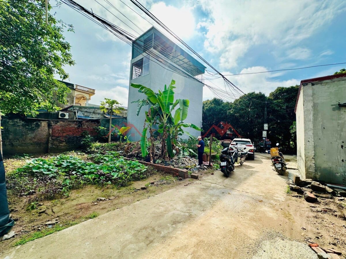 CHÍNH CHỦ BÁN LÔ ĐẤT 47M TẠI PHỤNG CHÂU-CHƯƠNG MỸ-HÀ NỘI - Ảnh 2