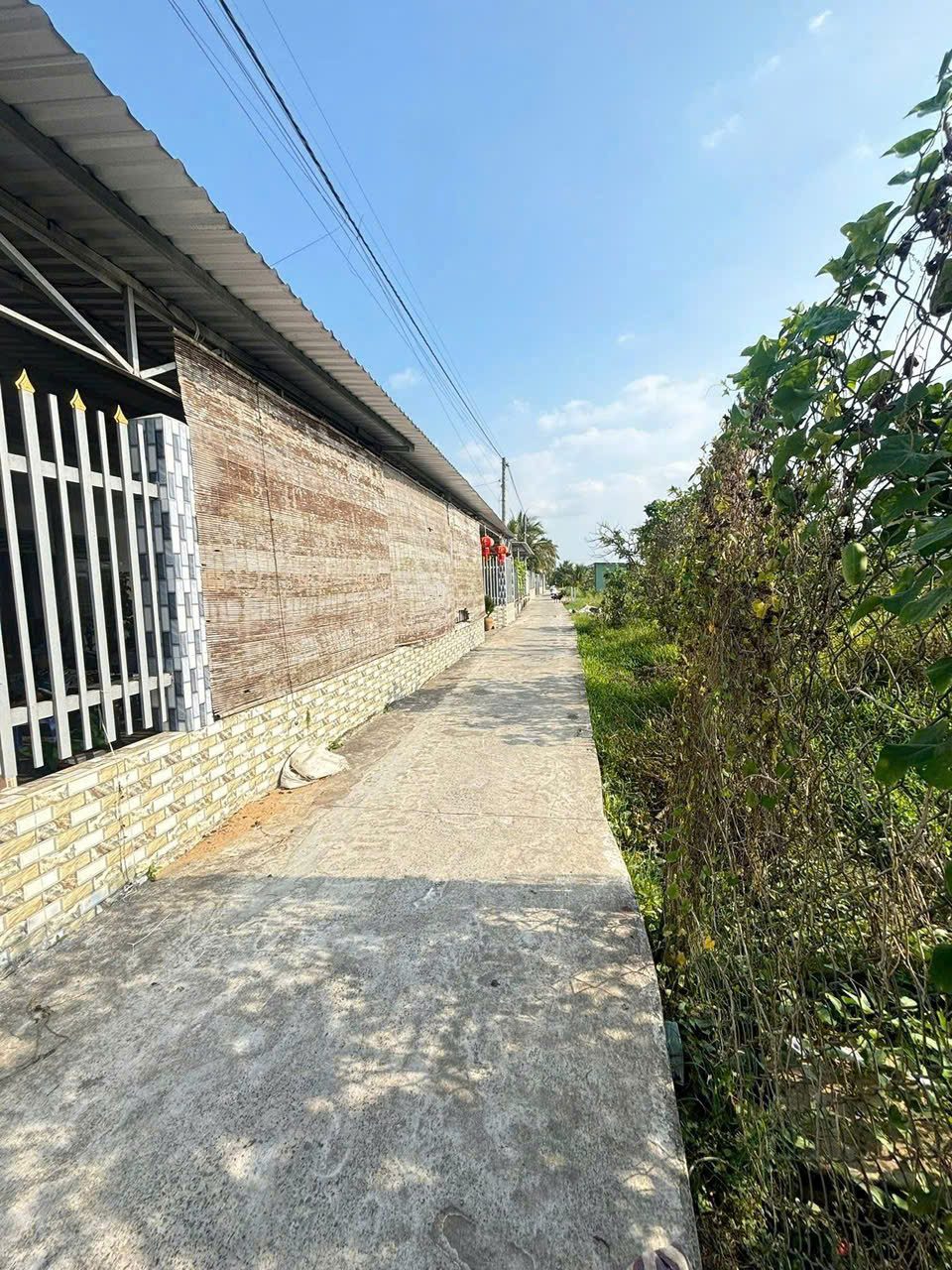 Bán Đất Mỹ Tho 10x79m DH89 vô 50m Giá 1.25 tỷ Kế Bên Chọ Mỹ Phong - Ảnh chính
