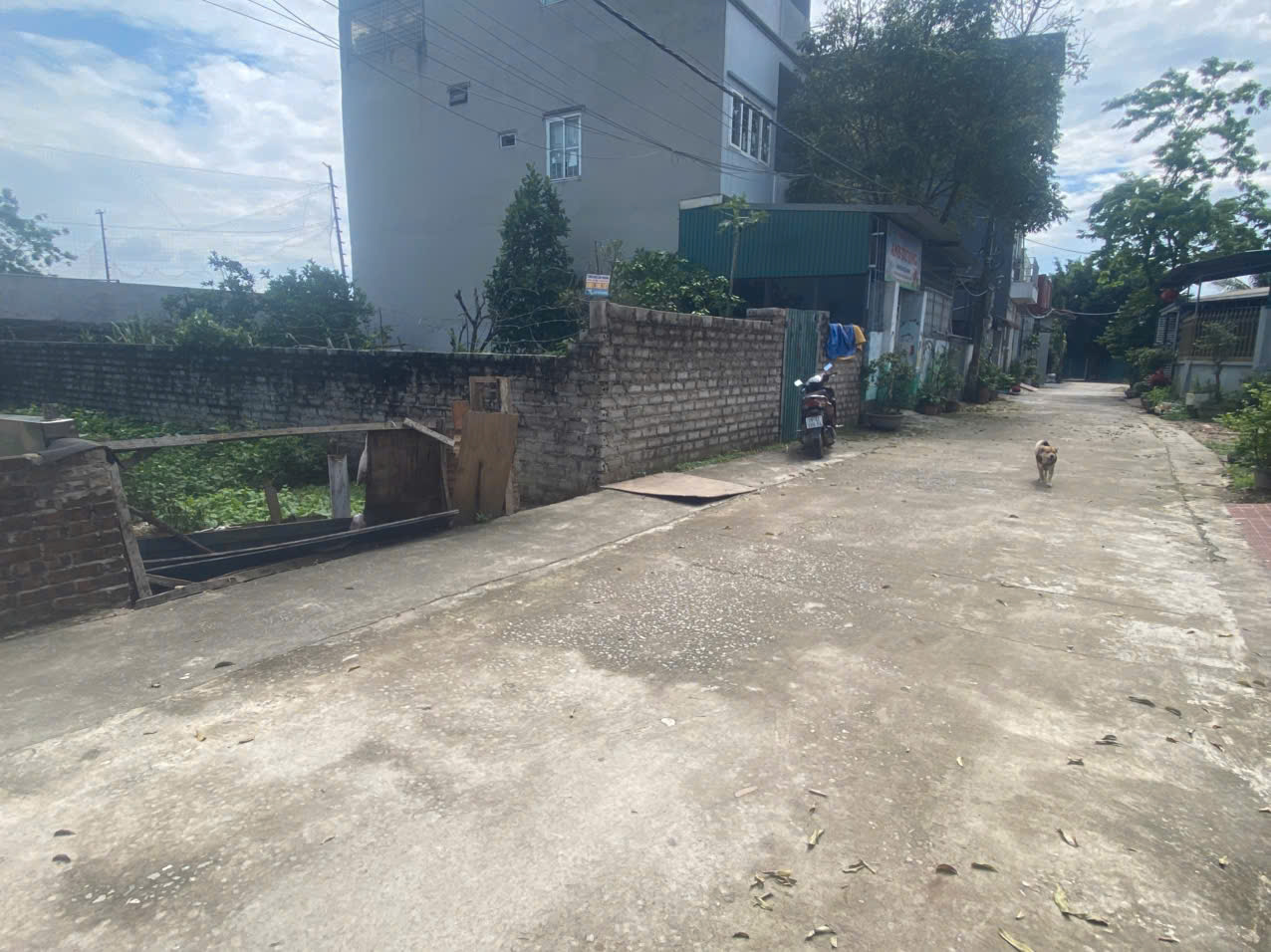 CHÍNH CHỦ BÁN LÔ ĐẤT 56,9M TẠI ĐẠI YÊN-CHƯƠNG MỸ-HÀ NỘI - Ảnh 2