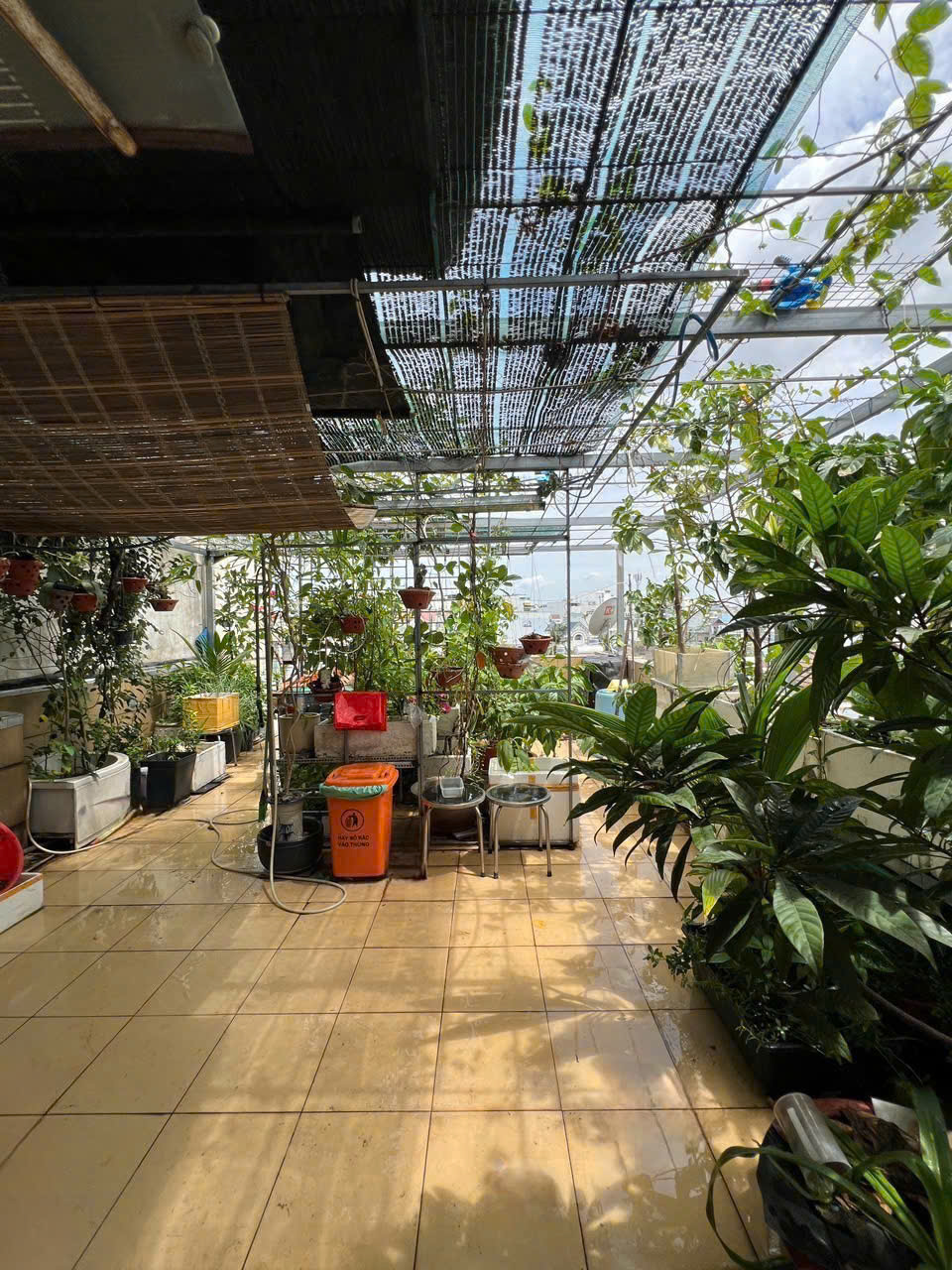Bán GẤP MTKD ngang LẠ 6m 5 lầu 120m2 Nguyễn Phúc Chu vừa ở vừa KD gần chợ PVB 20 tỷ hơn. - Ảnh 3