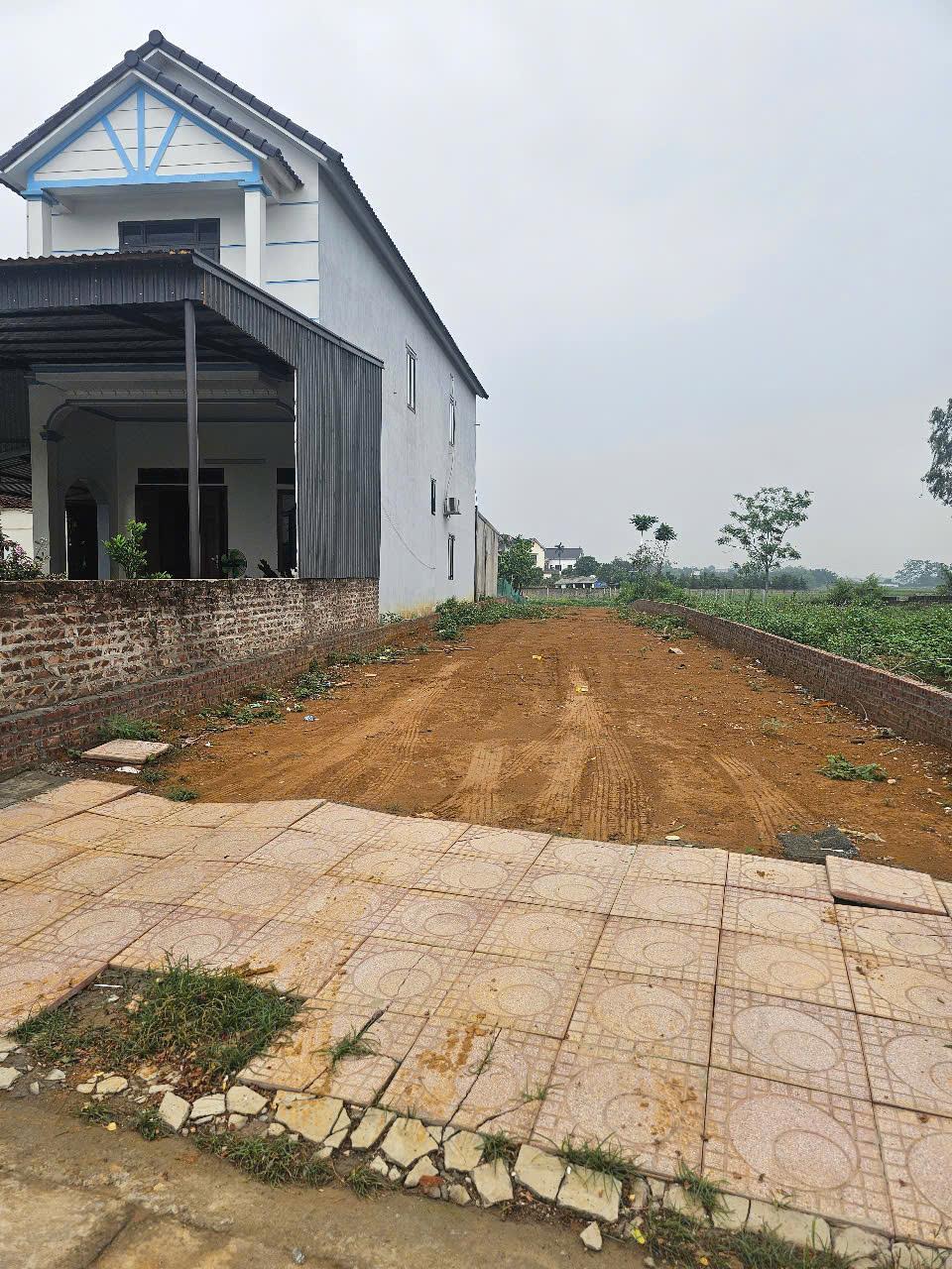 Bán đất mặt phố Đồng Âm đường thông rộng xe ben tránh 186m² nhỉnh 17tr giá tốt đầu tư - Ảnh 3