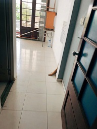Phòng 40 m²cho thuê giá rẻ - Ảnh chính