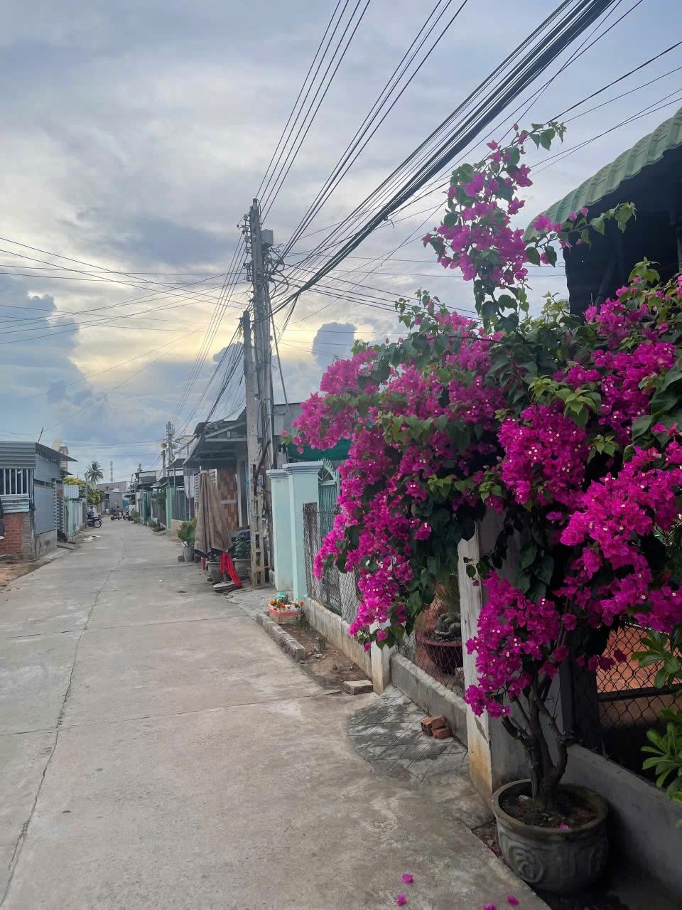 NHÀ ĐẸP - GIÁ TỐT - CHÍNH CHỦ Cần Bán Nhà Tại TT Lương Sơn, Bắc Bình, Bình Thuận - Ảnh 2
