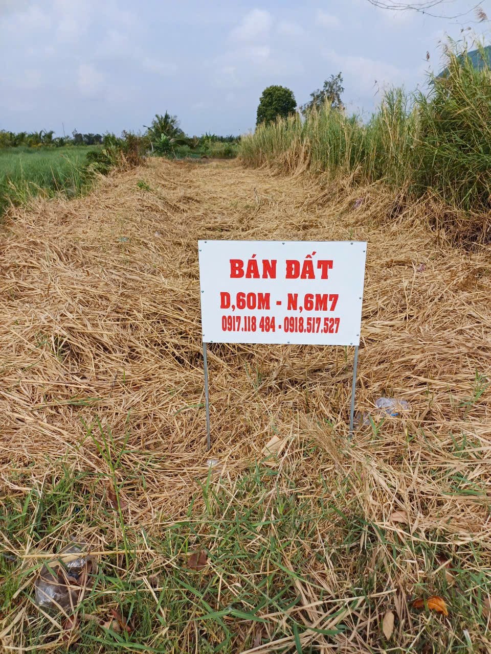 VỊ TRÍ ĐẸP - ĐẦU TƯ SINH LỜI - Chính Chủ Cần Bán Đất Xã Tân Hưng Đông, Cái Nước, Cà Mau - Ảnh chính