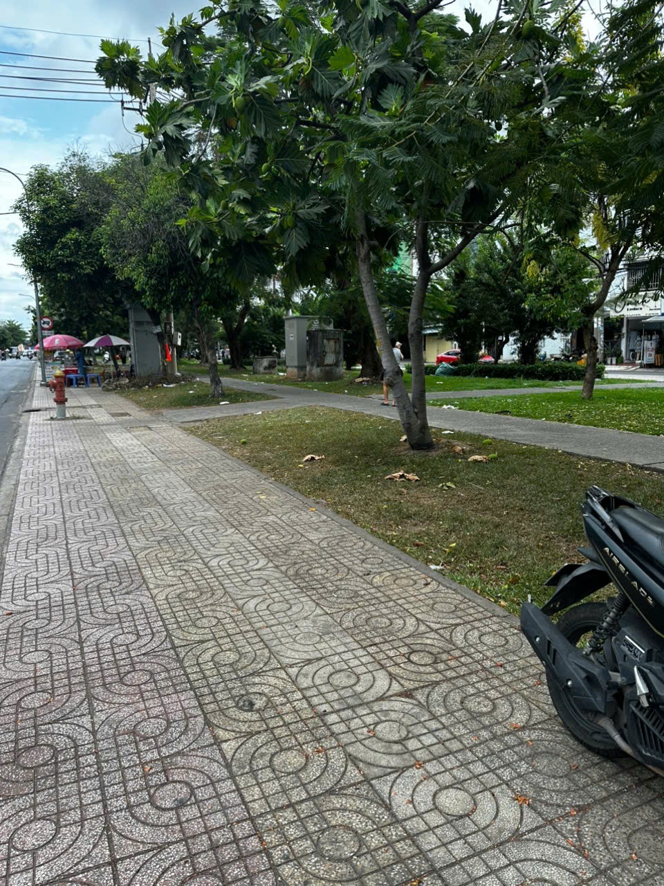 ĐẤT ĐẸP - GIÁ TỐT - Bán nhanh lô đất đường D9, Phường Tây Thạnh, Quận Tân Phú, TPHCM - Ảnh 1
