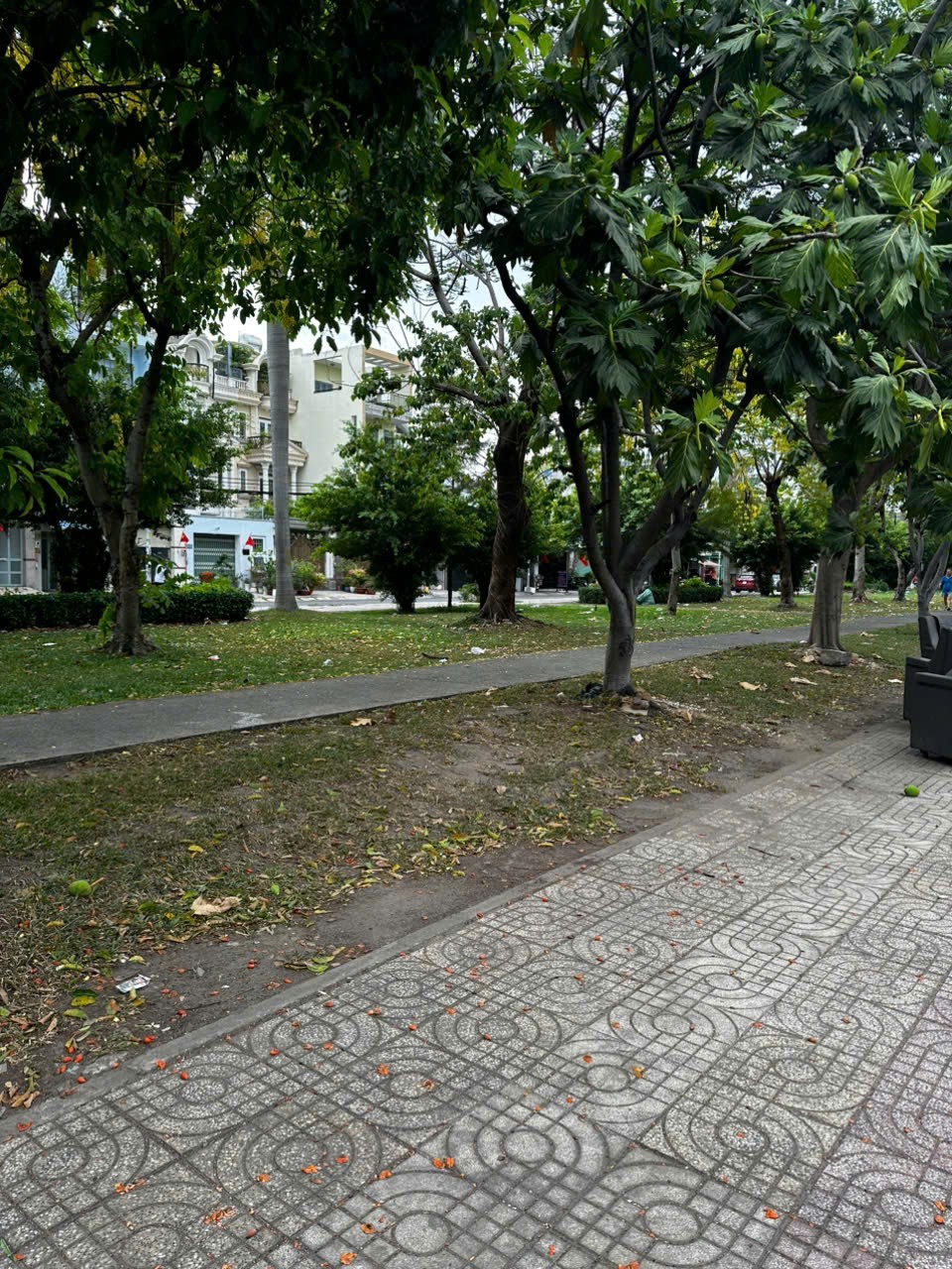 ĐẤT ĐẸP - GIÁ TỐT - Bán nhanh lô đất đường D9, Phường Tây Thạnh, Quận Tân Phú, TPHCM - Ảnh 4