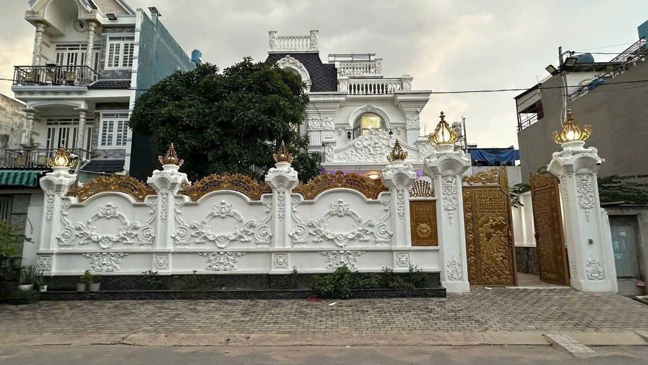 BÁN DINH THỰ VIP (15x20) – MẶT TIỀN PHẠM VĂN SÁNG, BÀ ĐIỂM, HÓC MÔN - Ảnh chính