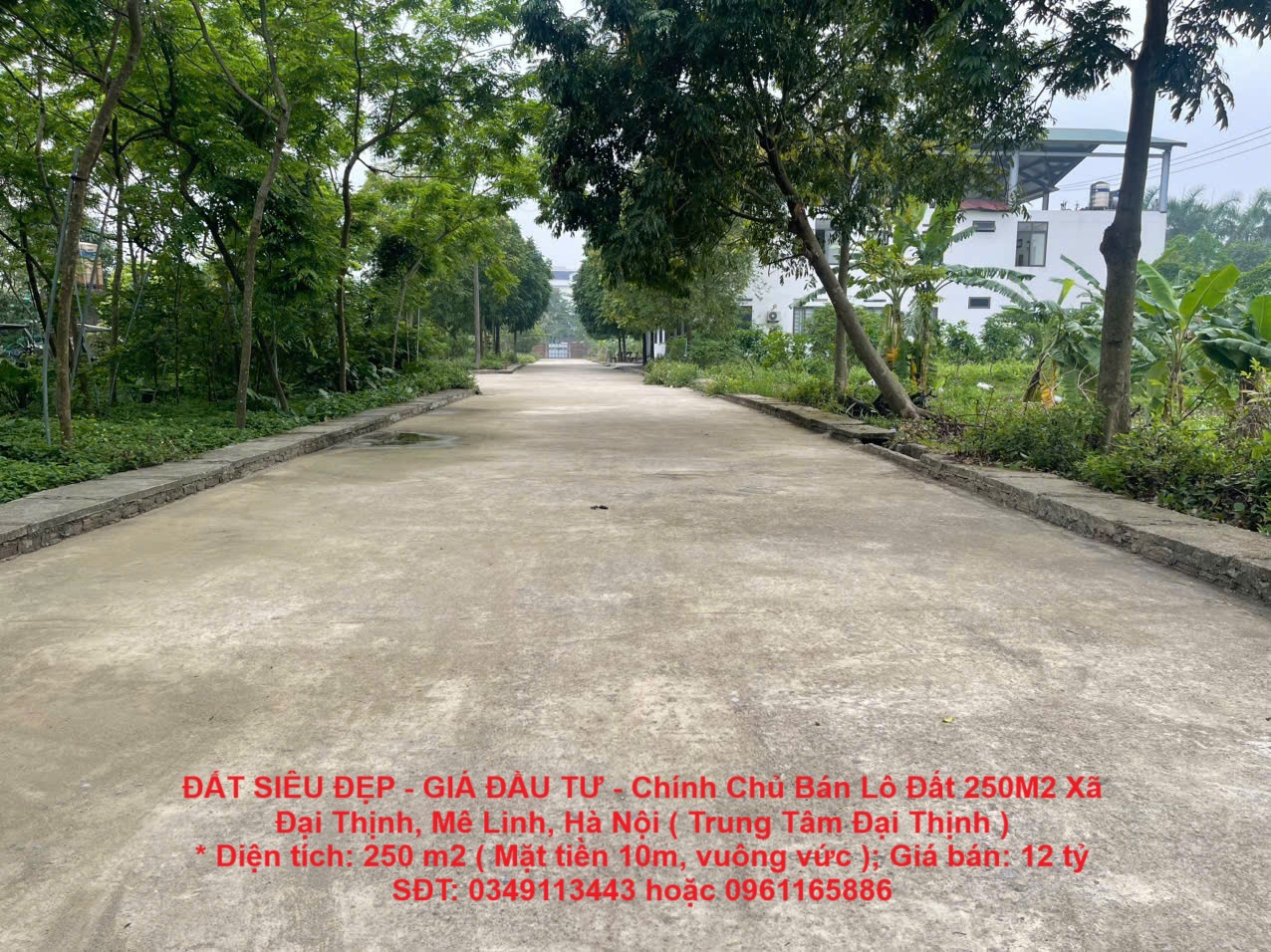 ĐẤT SIÊU ĐẸP - GIÁ ĐẦU TƯ - Chính Chủ Bán Lô Đất 250M2 Xã Đại Thịnh, Mê Linh, Hà Nội ( Trung Tâm - Ảnh chính