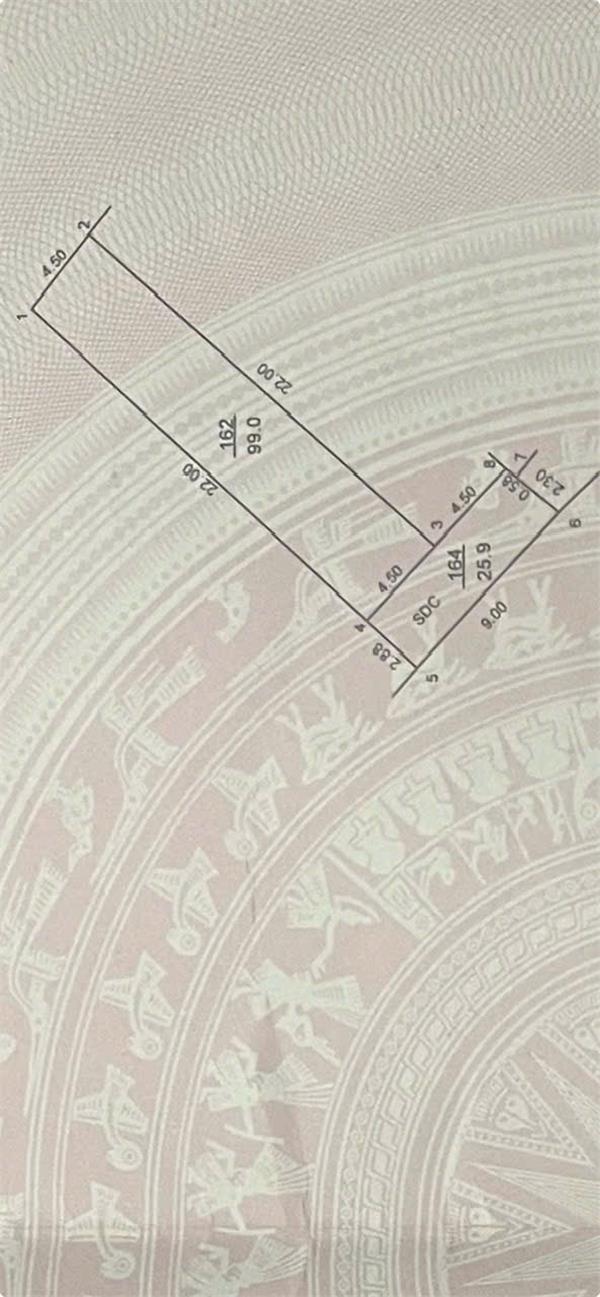 Thế Trạch -Mai Đình -Sóc Sơn giá chỉ 2x ô tô nhỏ đỗ cửa 99m full thổ cư - Ảnh 1