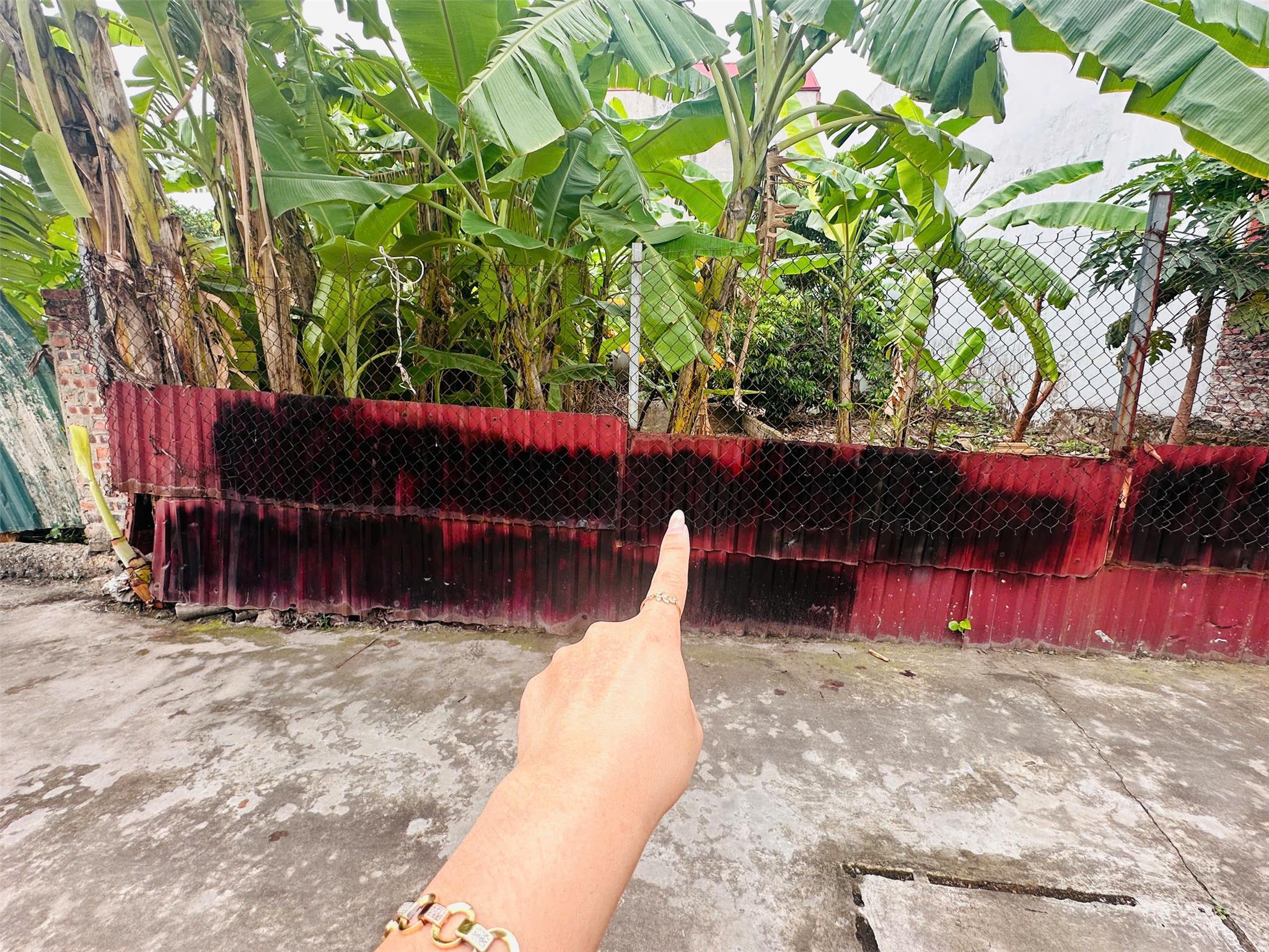 Thế Trạch -Mai Đình -Sóc Sơn giá chỉ 2x ô tô nhỏ đỗ cửa 99m full thổ cư - Ảnh 3