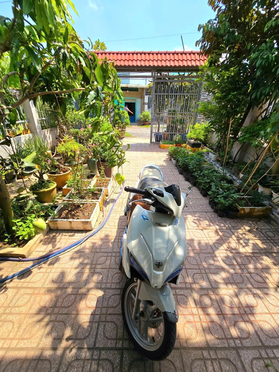 BÁN NHÀ NGÕ  QUẬN 9, PHƯỚC LONG B - 201M2 - SỔ HỒNG CHÍNH CHỦ - GIÁ HỜI chỉ 2.95 ty - Ảnh 3