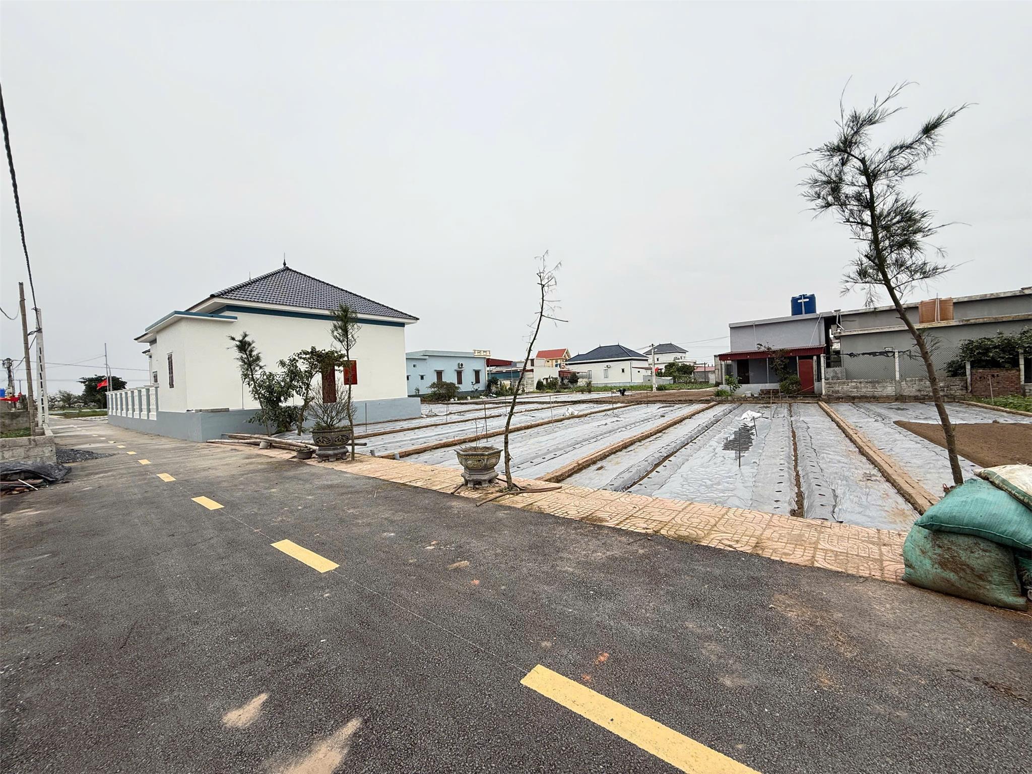 Cần bán nhanh 73m2 đất biển Quất Lâm, cách biển 50m, bám trục chính, view hồ giá hơn 1 Tỷ - Ảnh 1