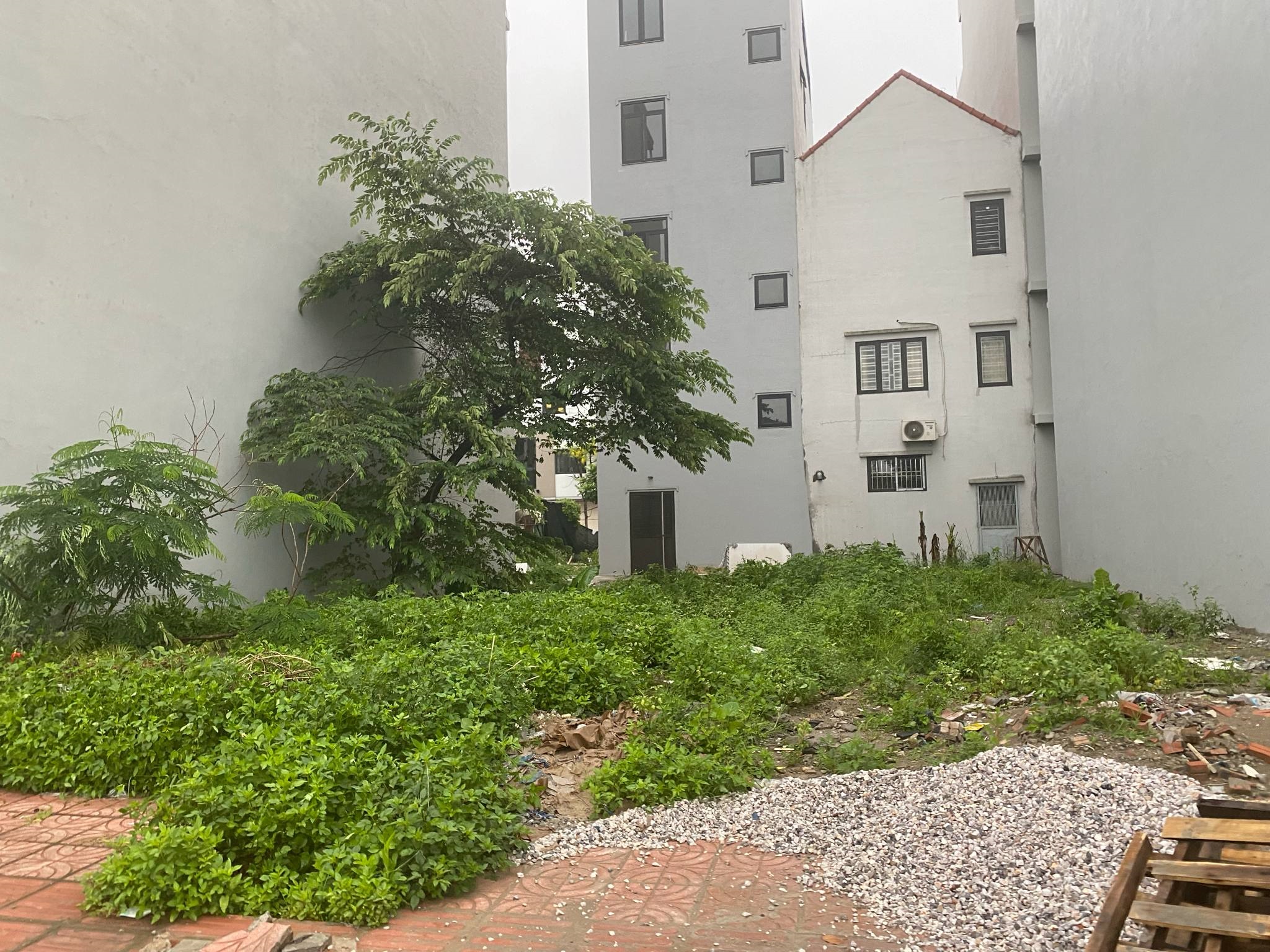 BÁN ĐẤT TĐC NGỌC THỤY, LONG BIÊN 44m2 , MT 4 m,view công viên, giá chào 15 tỷ - Ảnh 2