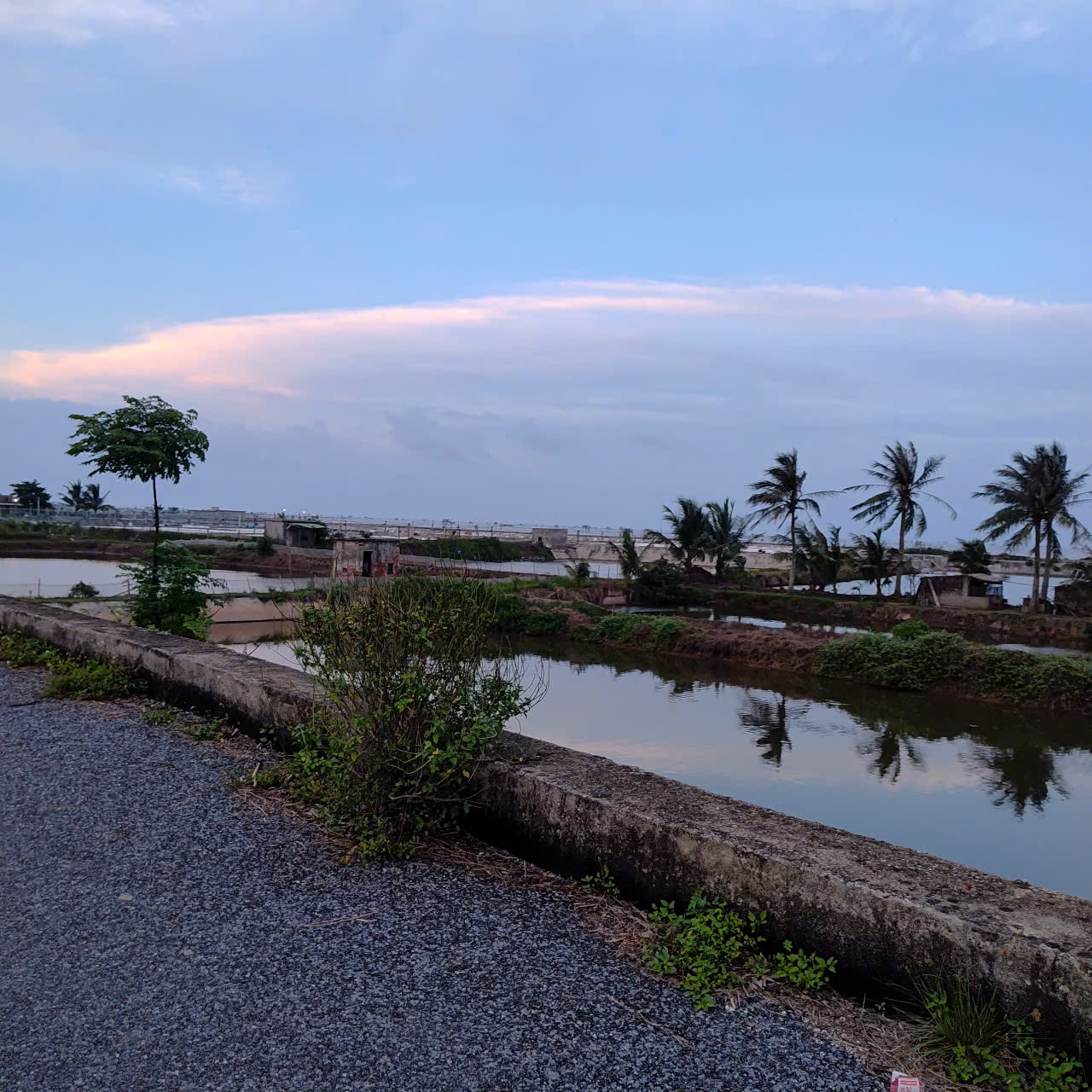 BÁN ĐẤT VEN BIỂN NAM THỊNH – TIỀN HẢI, THÁI BÌNH - Ảnh 3