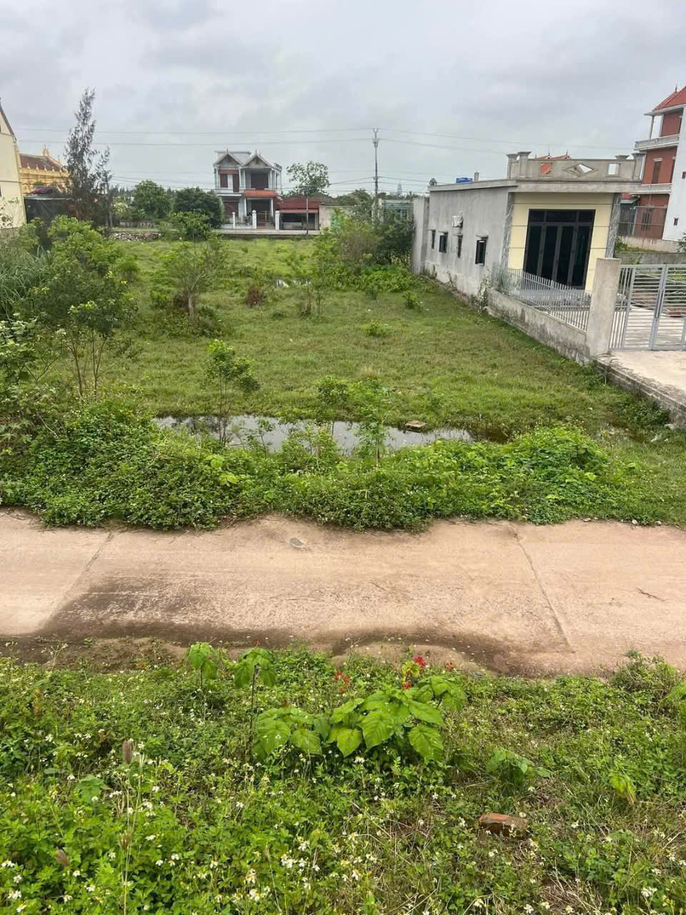BÁN ĐẤT VEN BIỂN NAM THỊNH – TIỀN HẢI, THÁI BÌNH - Ảnh chính