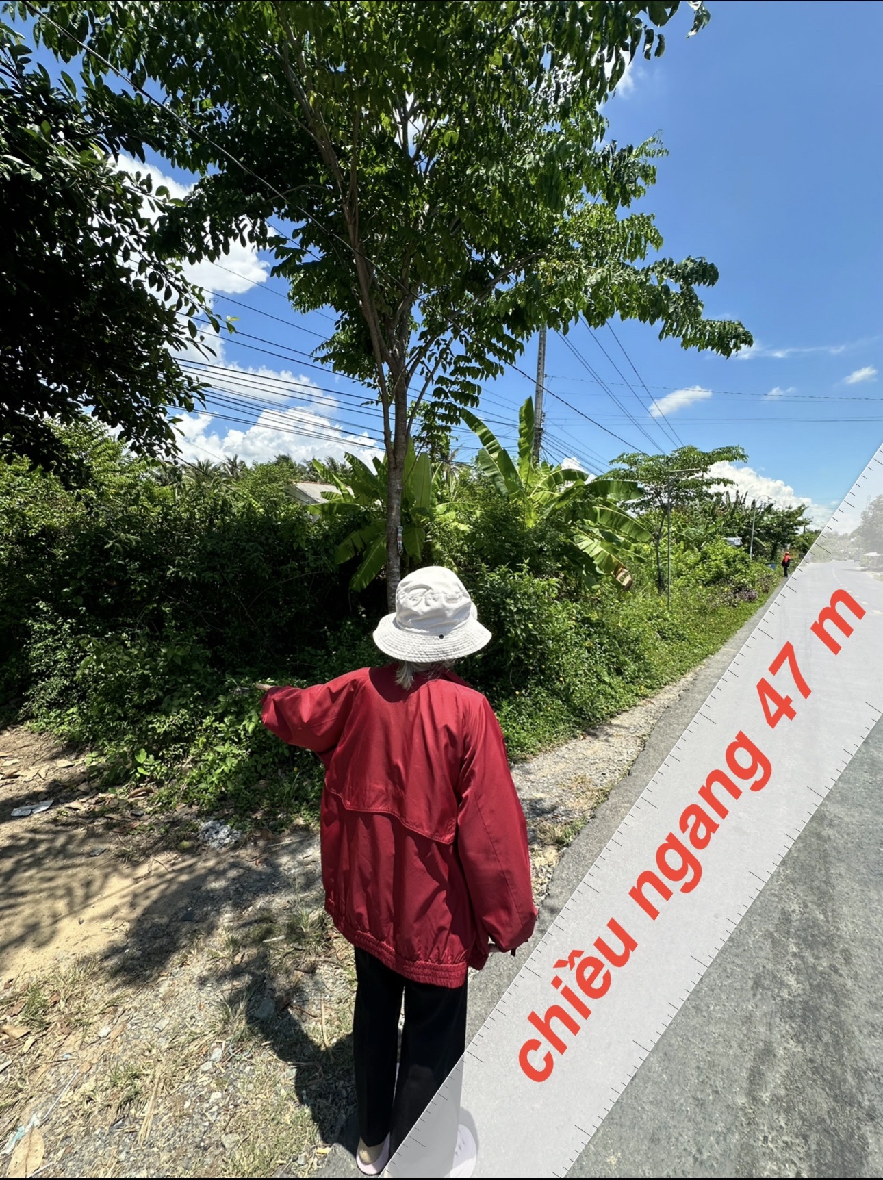 BÁN ĐẤT ĐẸP TẠI AN TRƯỜNG, CÀNG LONG, TRÀ VINH, 4700M2 CHỈ 250TR/1M NGANG. LH:0966397739 - Ảnh chính