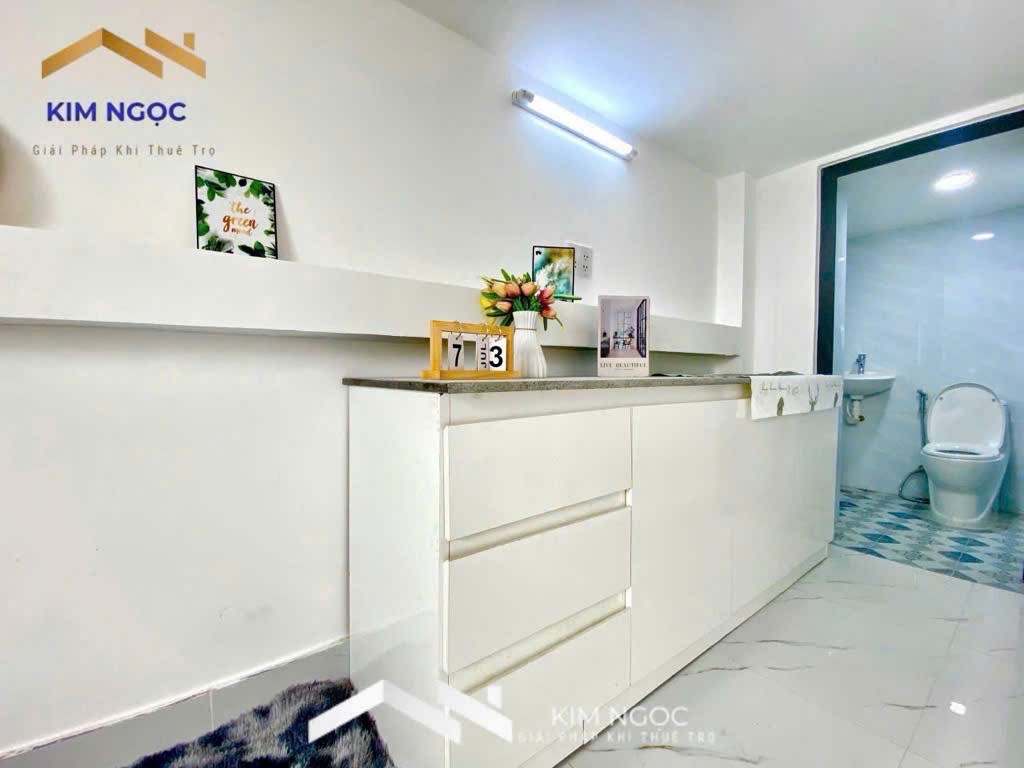 BÁN GẤP CHDV 200tr/tháng, 43phòng, HXT 8m, TÂN KỲ TÂN QUÝ, 24.xx TỶ - Ảnh 3