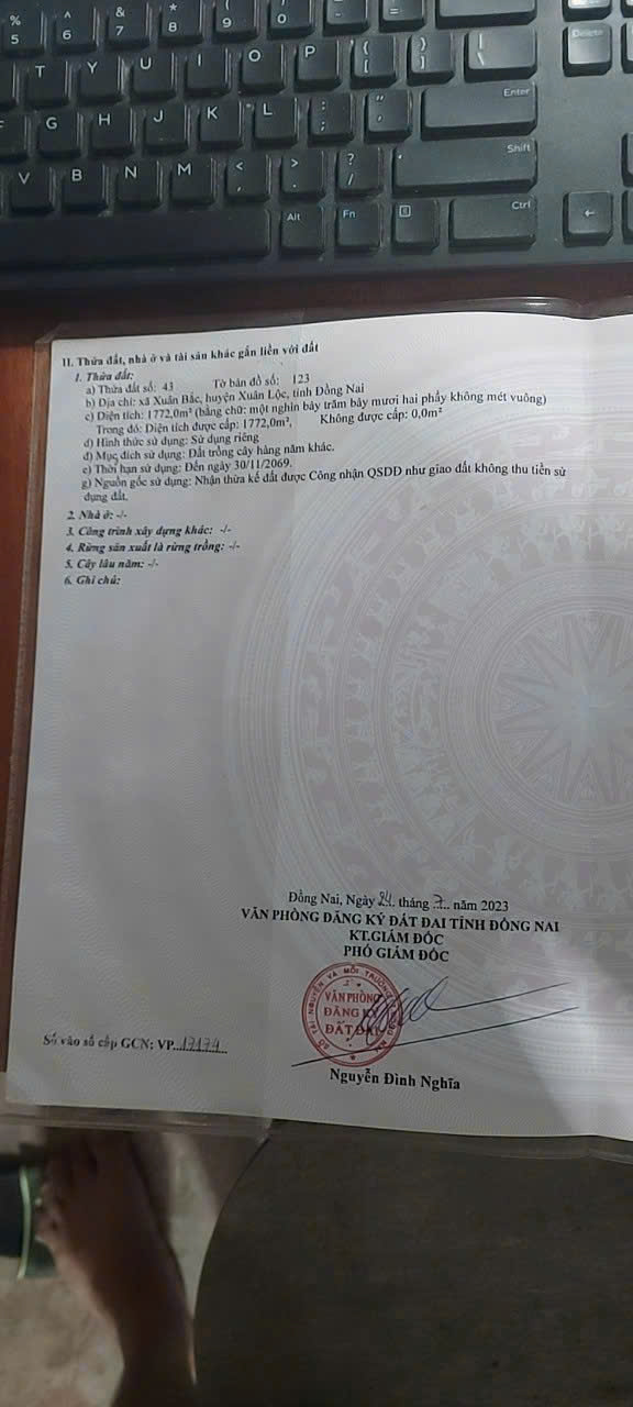 Cần Bán Đất Vị Trí Đẹp Tại Đường Ruộng Tre, Ấp Thọ An, Xã Xuân Bắc, Xuân Lộc. Đồng Nai. - Ảnh 1