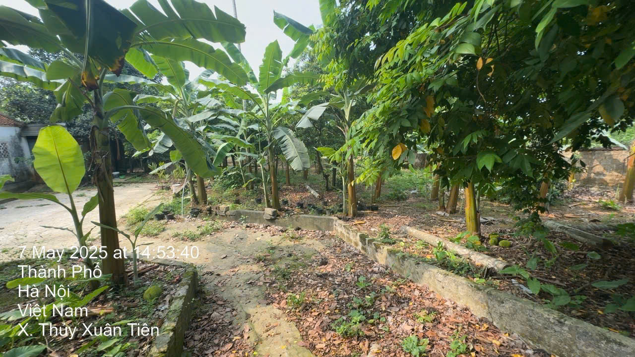 Chính chủ bán 2800m đất xã Thuỷ Xuân Tiên - huyện Chương Mỹ - Hà Nội - Ảnh 1