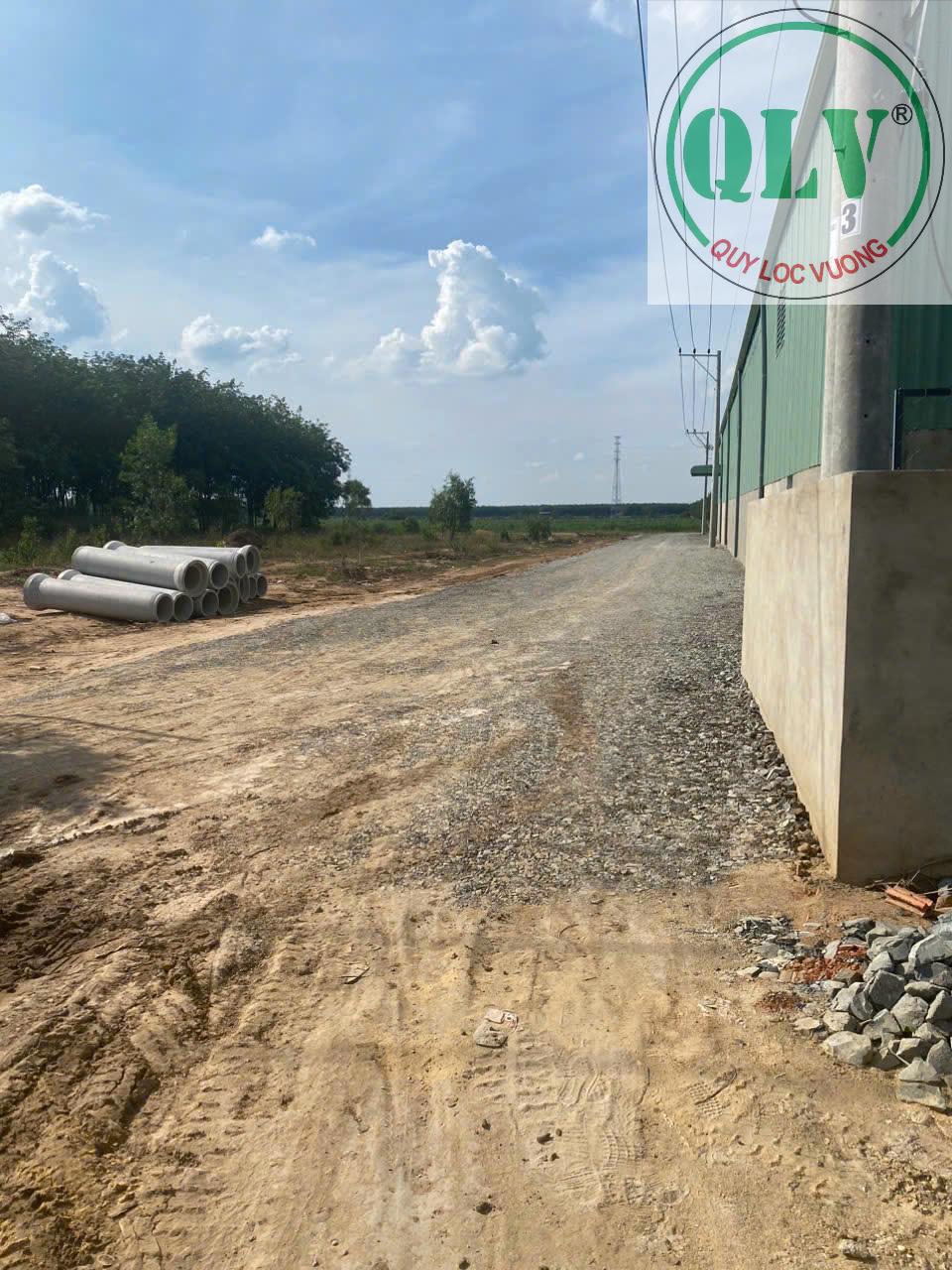 Cho thuê xưởng mới đang xây, diện tích 5.600M² tại Uyên Hưng, Tân Uyên, Bình Dương. - Ảnh 2