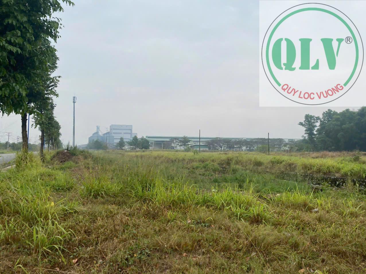 Cần bán đất xây xưởng 28.000M² tại Hòa Phú, TP Thủ Dầu Một, gần Vsip2. - Ảnh 2