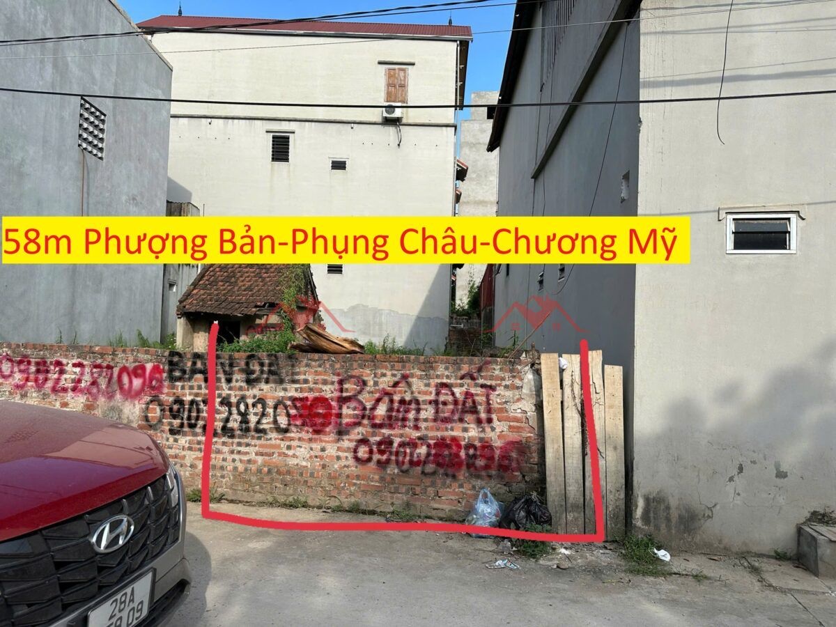 CHÍNH CHỦ BÁN LÔ ĐẤT 58M TẠI PHỤNG CHÂU-CHƯƠNG MỸ-HÀ NỘI - Ảnh chính