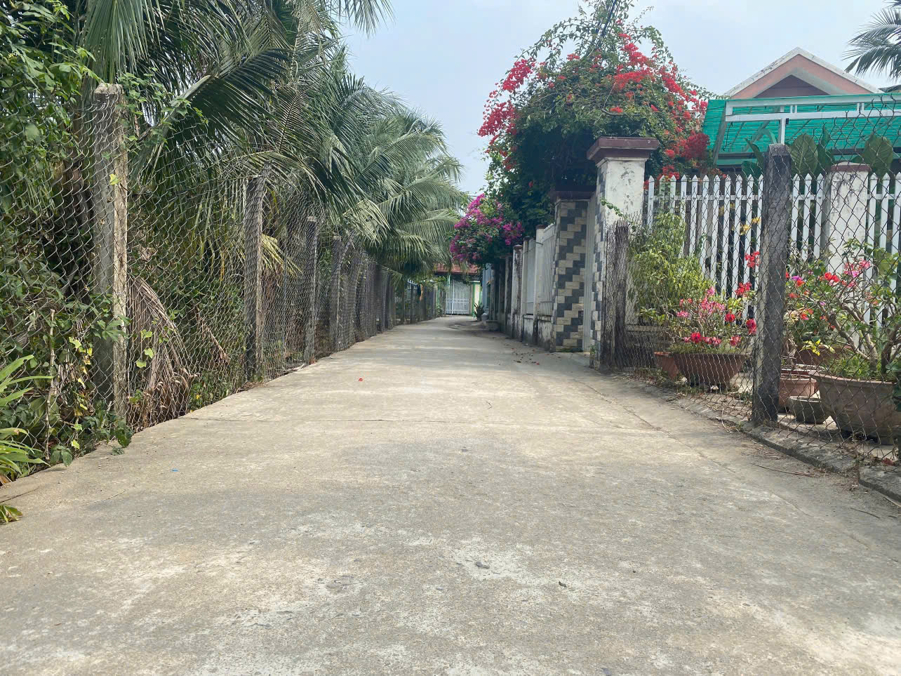 🌸ĐẤT TT Diên Khánh, Khánh Hòa gần đường Bờ Kè Trần Phú giá chỉ 12tr5/m2 - Ảnh chính